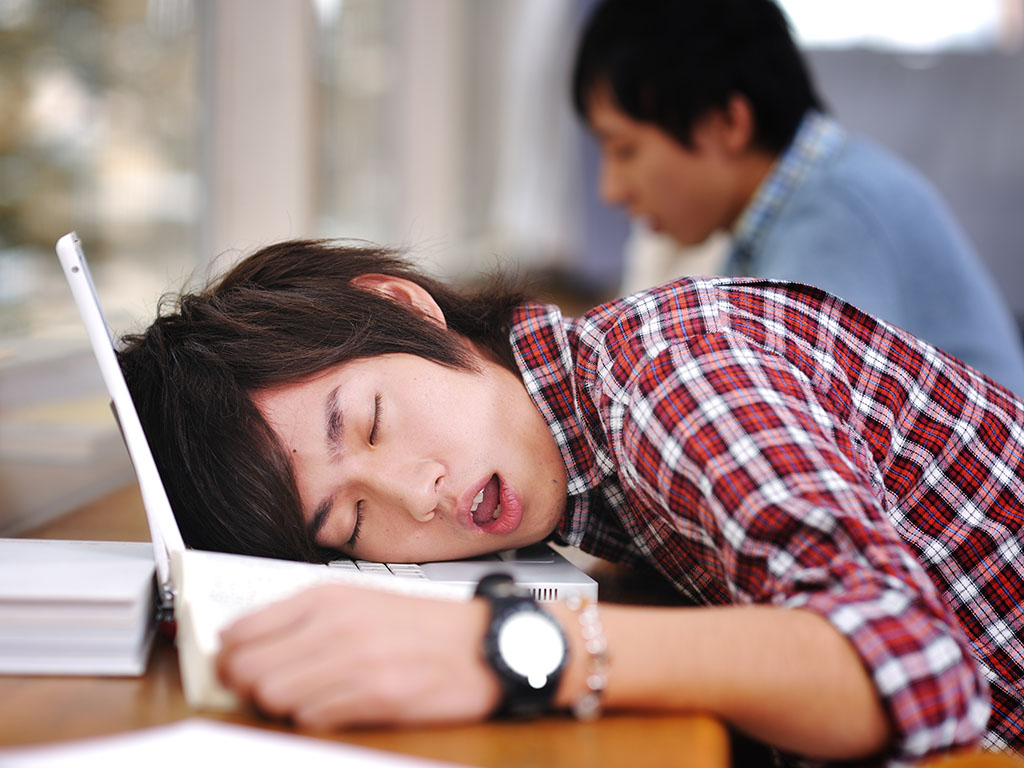 Student sleeping on laptop keyboard