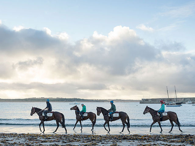 horse riders on the seashore